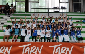 Fête du volley Tarnais 2019