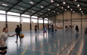 M13 &amp; M15 - Plateau 8