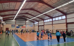 M13/M15 - Plateaux 3