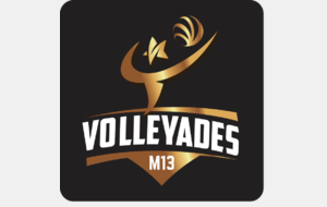 Minivolleyades