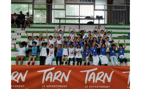 Fête du volley Tarnais 2019
