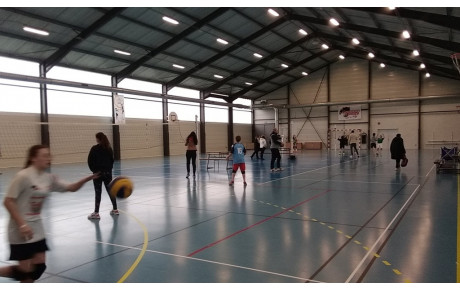 M13 &amp; M15 - Plateau 8