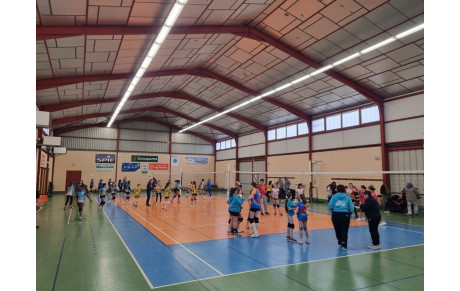 M13/M15 - Plateaux 3